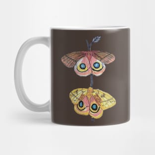 IO Moths: A Study in Dimorphism Mug